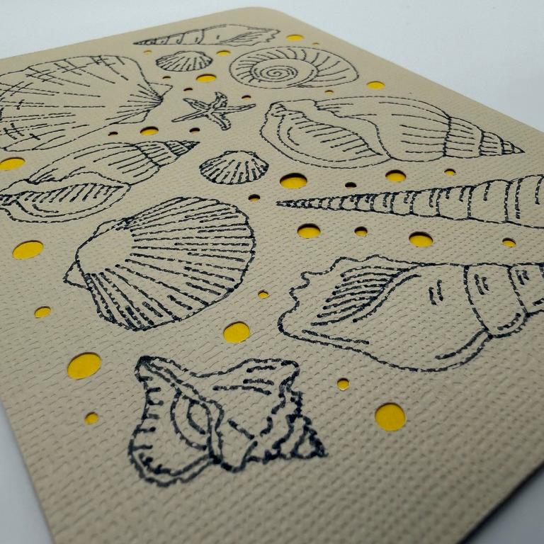 Seashell Greeting Card | Vintage Coastal Nautical Design | Beach Birthday, Thank You & Summer Note Card
