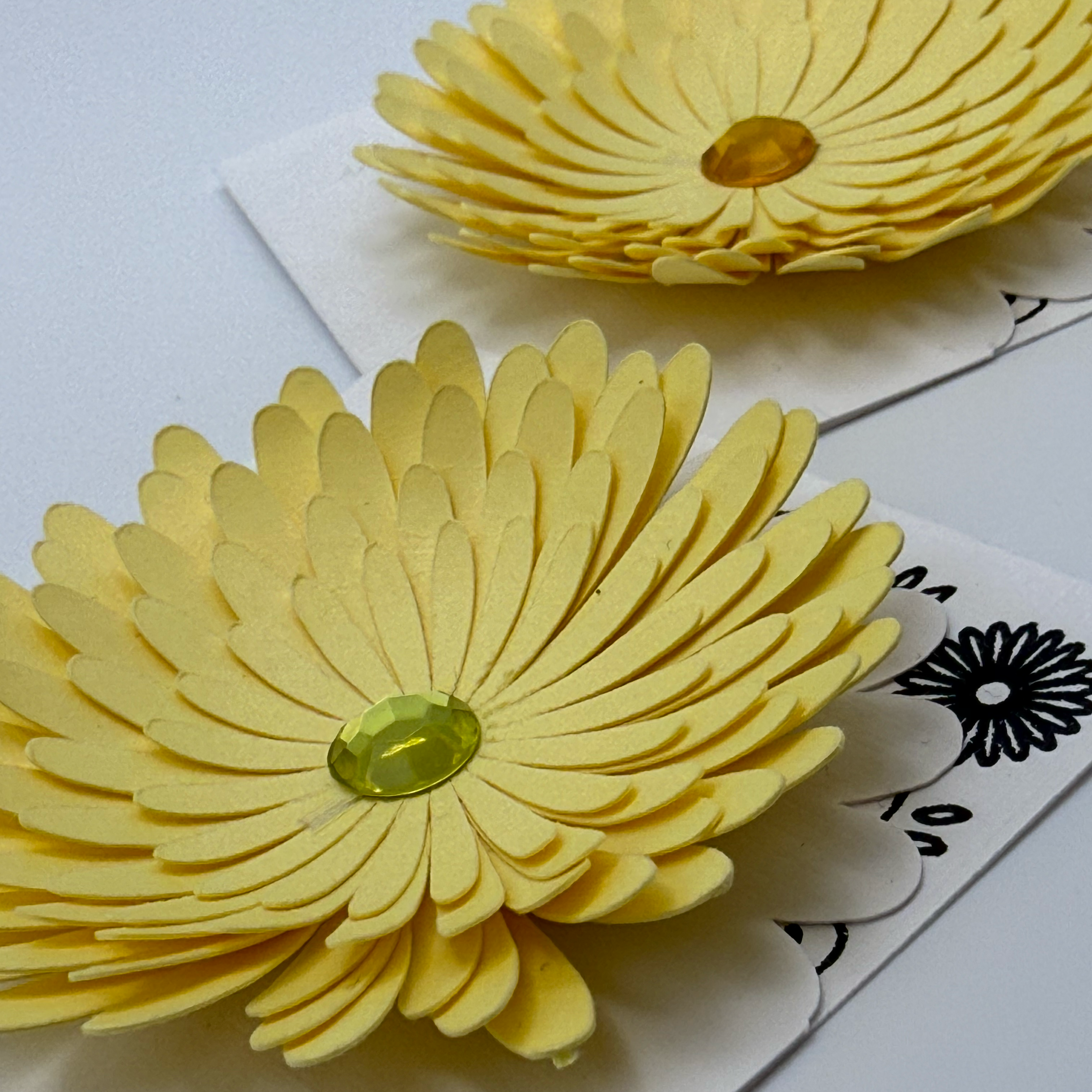 Flower Note Cards